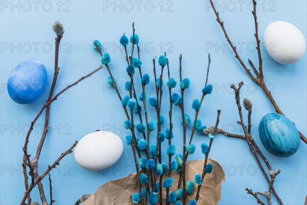Colored eggs willow branches