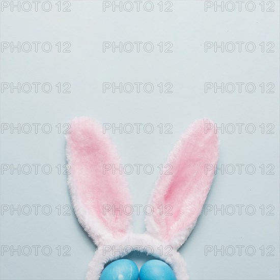 Crop bunny ears eggs