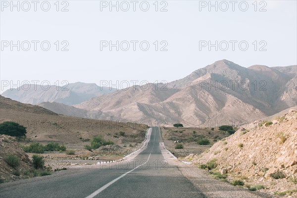 Desert landscape