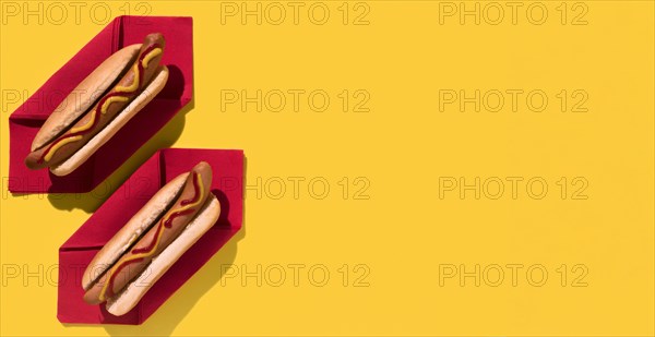 Flat lay delicious hot dogs copy space