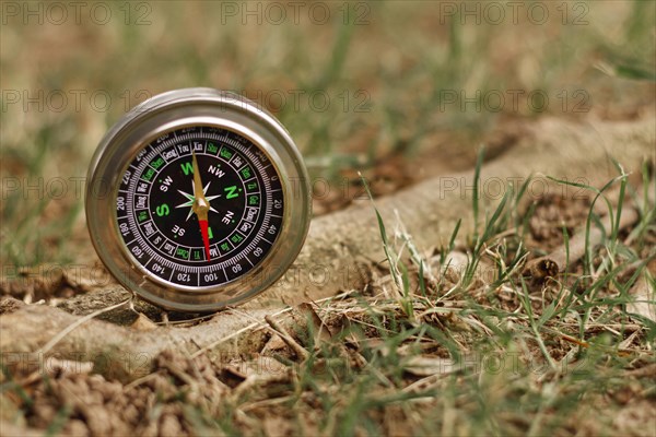 High angle compass nature