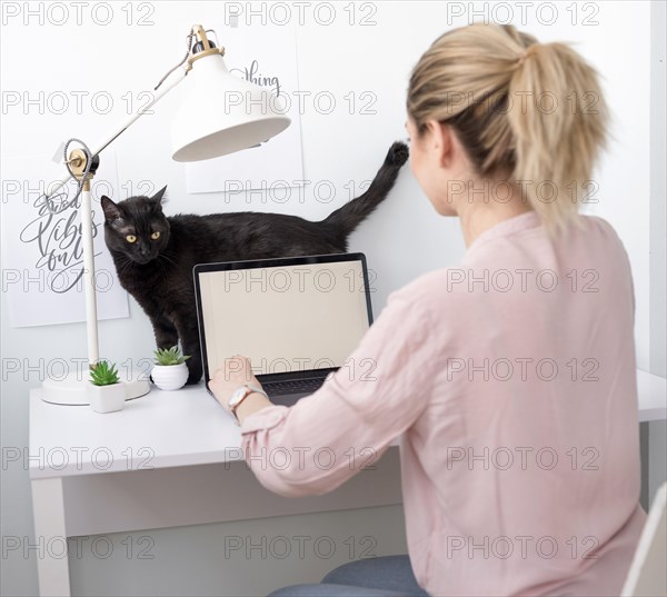 High angle lancer woman home desk with cat