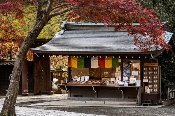 Japanese temple with leaning tree