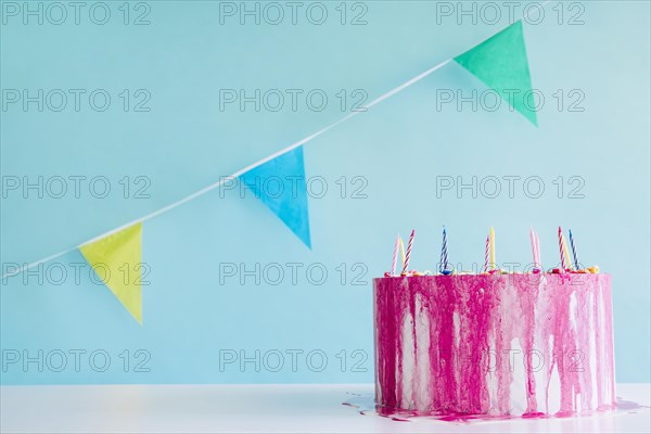 Nice birthday cake flag garland
