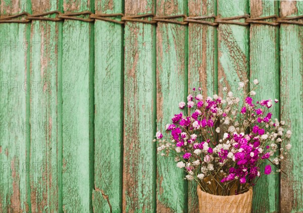 Pink baby s breath flowers against wooden shutters background