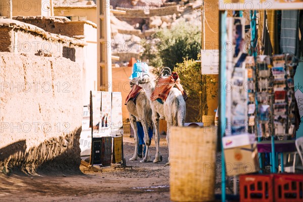 Street scene marrakesh