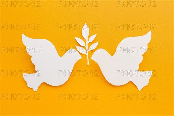 Top view paper doves with leaves