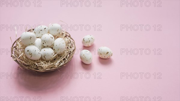 White eggs nest pink table