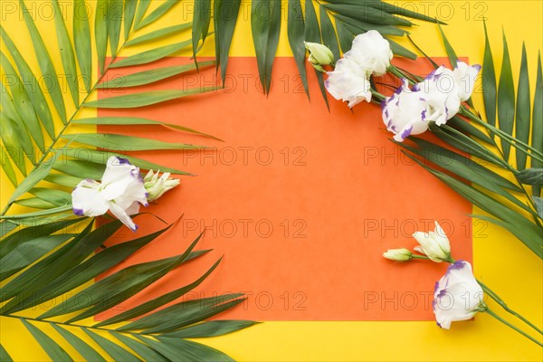 White flowers leaves blank orange paper against yellow background