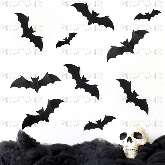 Bats flying skull
