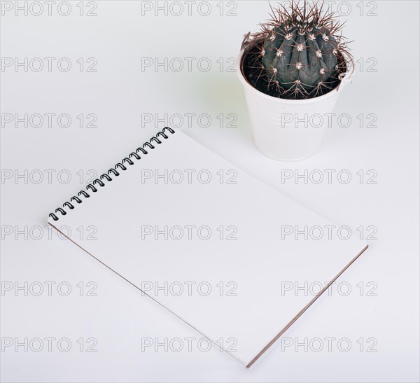 Blank spiral notepad near cactus bucket white background