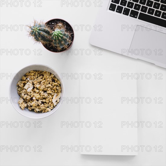 Booklet mockup with laptop cereals cactus