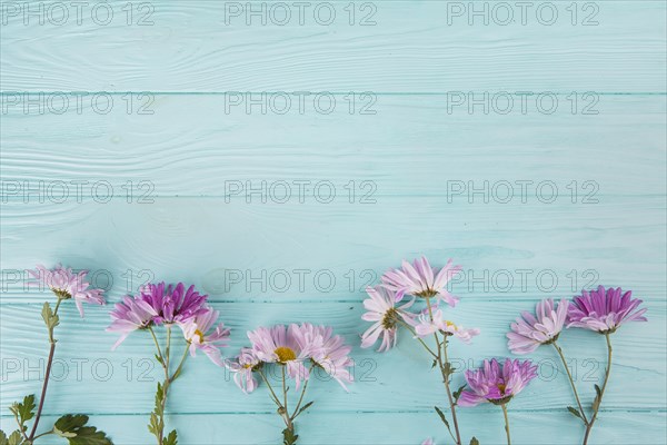 Bright flowers scattered wooden table