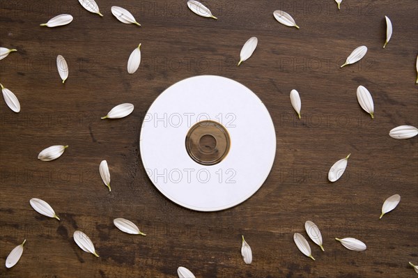 Cd petals mockup