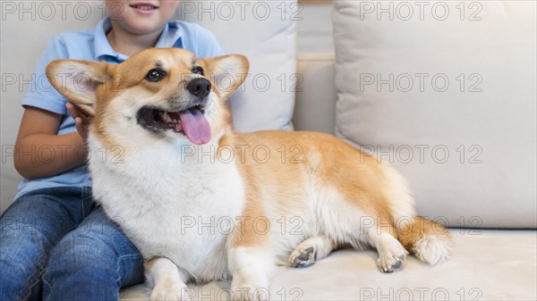 Close up young boy petting family dog