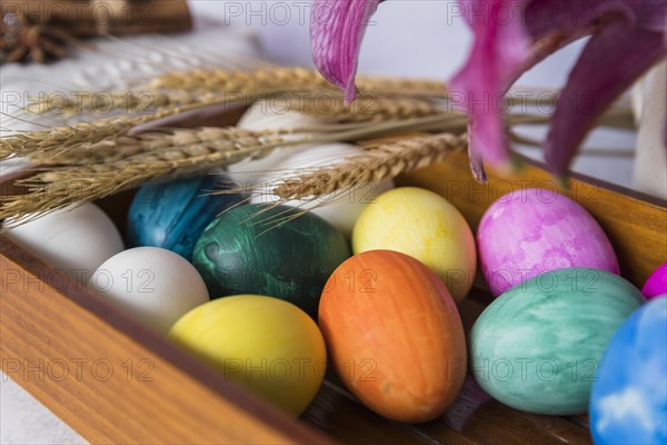 Colored eggs wheat ears tray