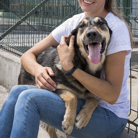 Cute dog playing with woman shelter adoption