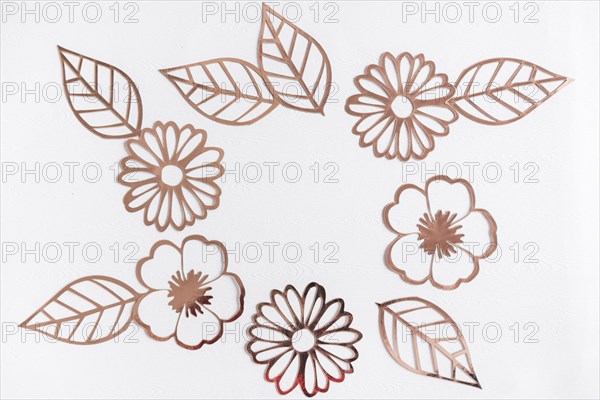 Cut out golden flowers leaves white background