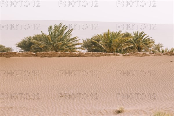 Desert landscape morocco