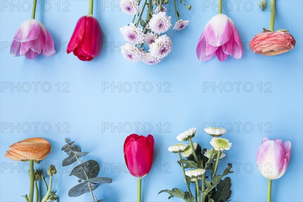 Different bright flowers sprigs