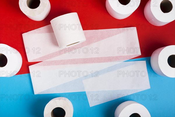 Flat lay frame toilet paper rolls