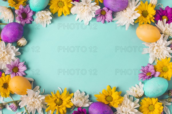 Frame bright eggs flower buds
