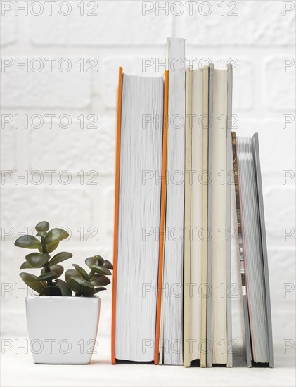 Front view desk with stacked books plant