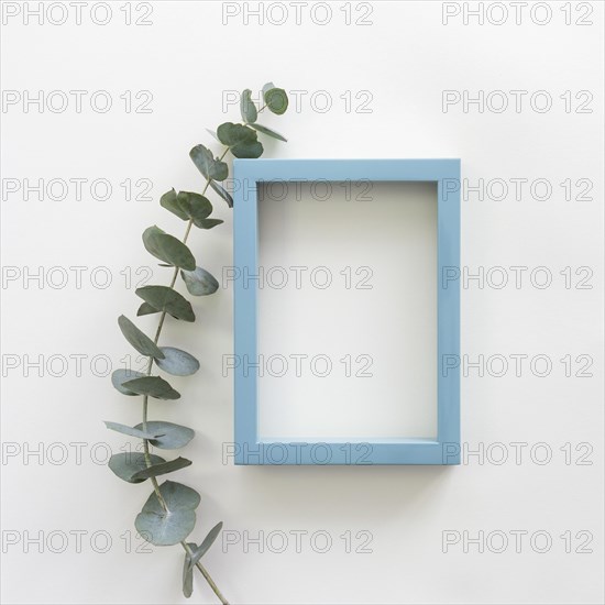 Green leaves blue border empty blank frame white backdrop
