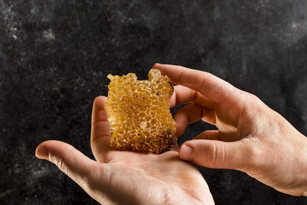 Hands holding honeycomb