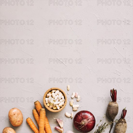 Harvested different vegetables