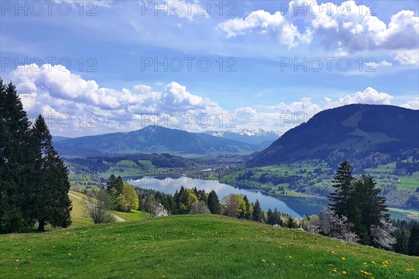 Picturesque landscape at the Großer Alpsee with mountains