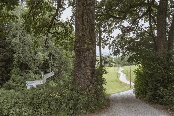 Landscape and path along the Isar cycle path near Bad Toelz