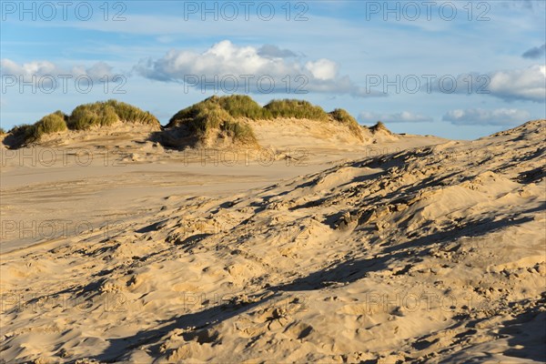 Travelling dune