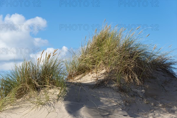 Travelling dune