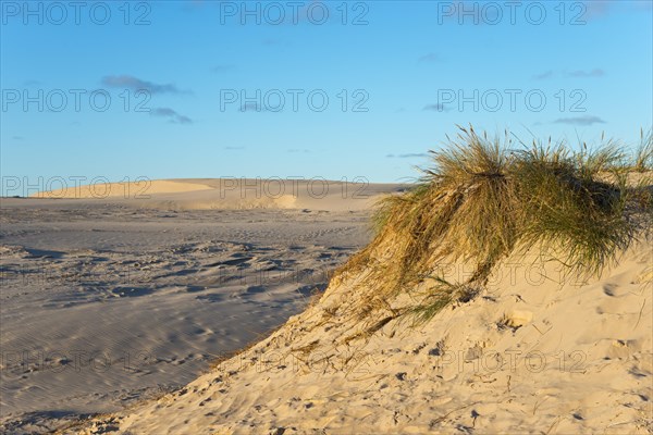 Travelling dune