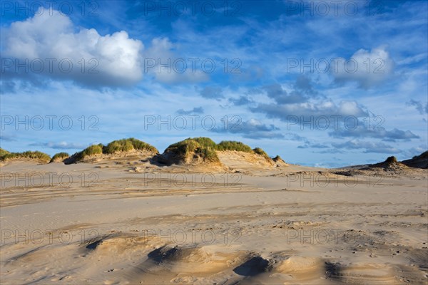 Travelling dune