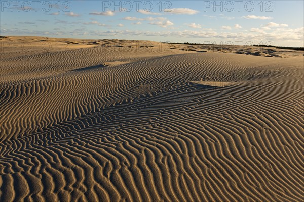 Travelling dune