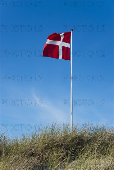 Danish flag waving in the wind