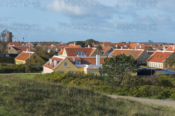 View over Skagen