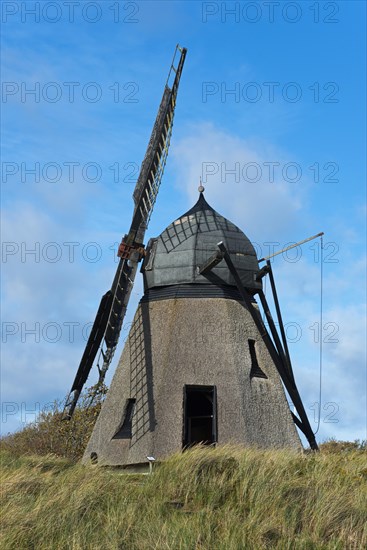 Dutch Mill