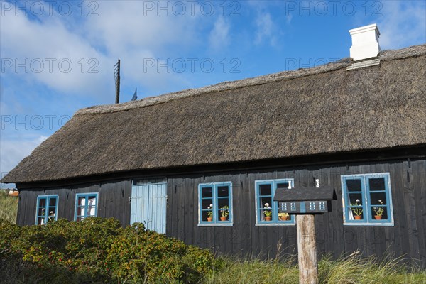 Thatched house