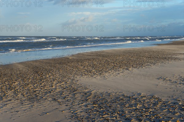 Sand blowing on the North Sea beach at the meeting of the North Sea and the Baltic Sea