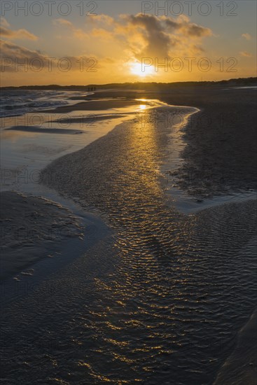 Baltic Sea beach at sunset at the meeting of the North Sea and the Baltic Sea