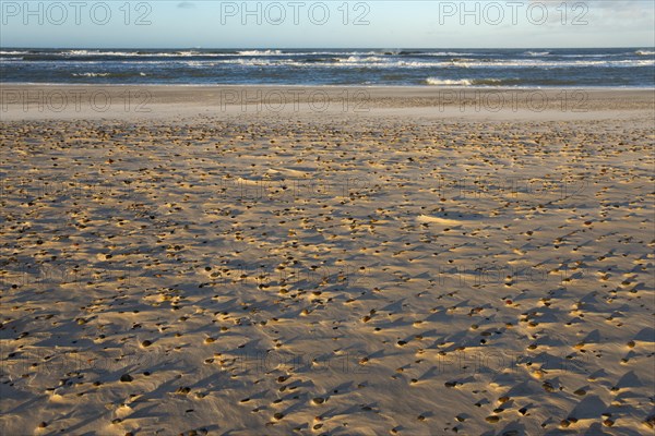 North Sea beach at the meeting of the North Sea and the Baltic Sea