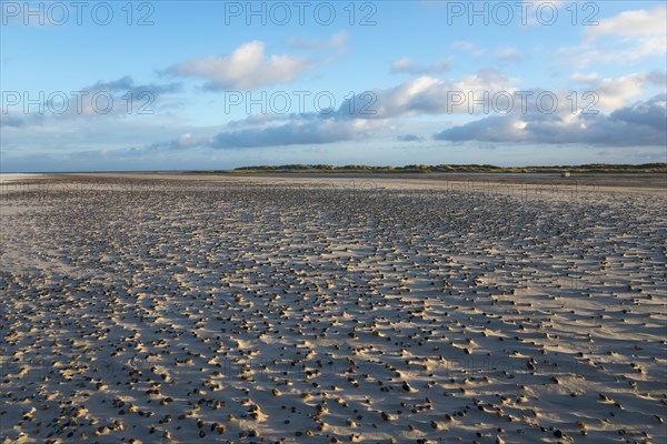 North Sea beach at the meeting of the North Sea and the Baltic Sea