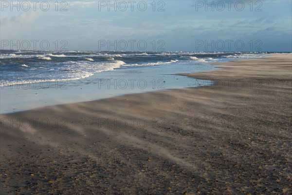 Sand blowing on the North Sea beach at the meeting of the North Sea and the Baltic Sea
