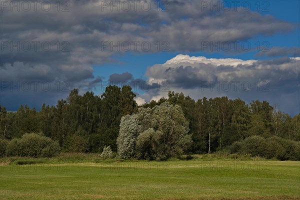 Early autumn in the Tegeler Fliesstal