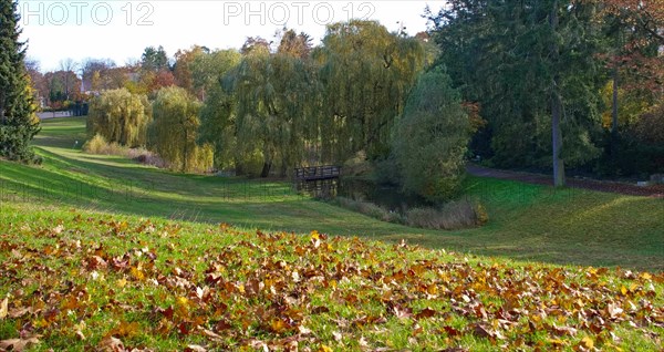 Autumn in Thielpark