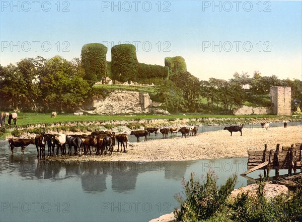Rhuddlan Castle