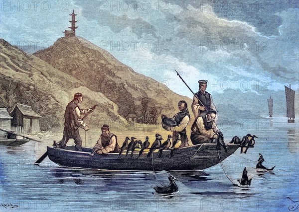 Cormorant fishermen